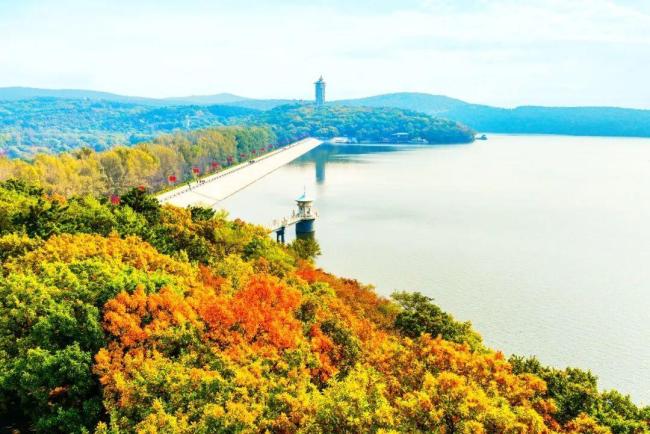 60以上游客净月潭重阳节免票 秋日盛装迎佳节