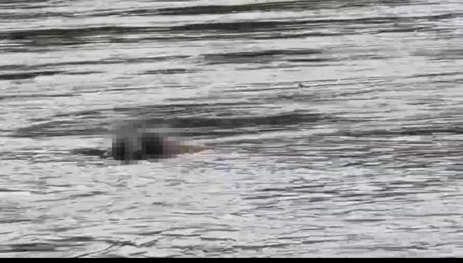 缅甸军方连续多日爆破KK园区 清剿行动持续引发关注