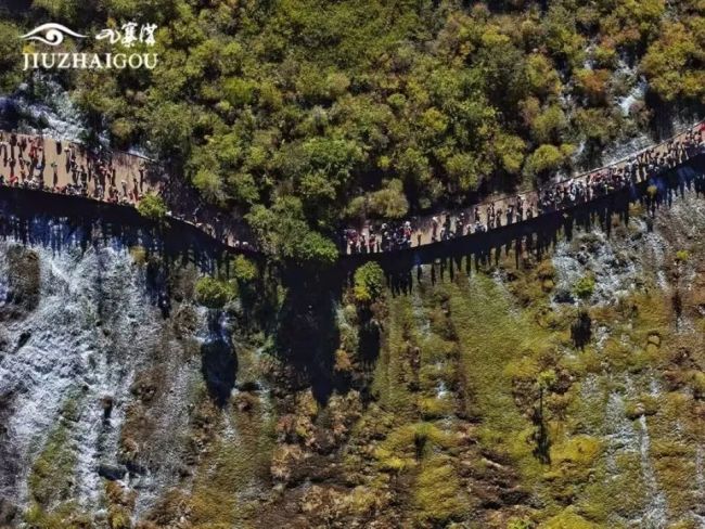 九寨沟回应提议中老年仅工作日免票:现阶段无法调整