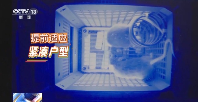 几十克的“先行者”经过魔鬼训练只为太空入场券