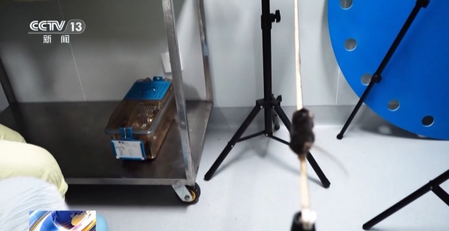 几十克的“先行者”经过魔鬼训练只为太空入场券