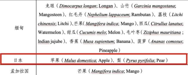 阳光玫瑰贴上这个标签后涨价数倍 晴王标签助推价格翻倍