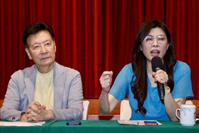 郑丽文称收拾民进党 如何打响第一枪 团结蓝军共谋对策