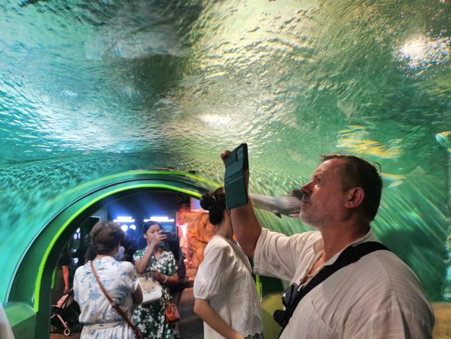 上海前3季度理财入境搭客超632万东谈主次 文旅手脚蜕故孳新
