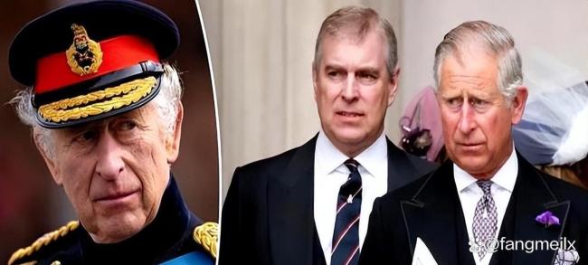 你如何看待安德鲁王子被剥夺头衔