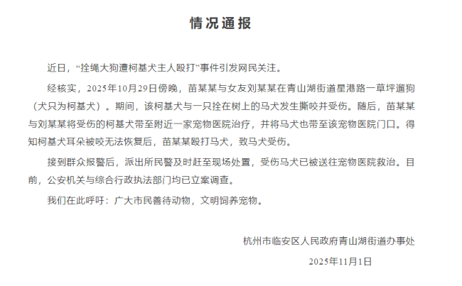 柯基主人殴打拴绳狗 警方立案调查