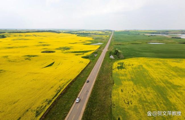 加拿大总理为何主动寻求与中方接触 欲消除误会建关系