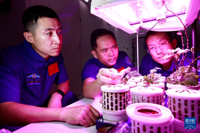 神二十一航天员神二十乘组激动相拥 逐梦星辰大海新篇章