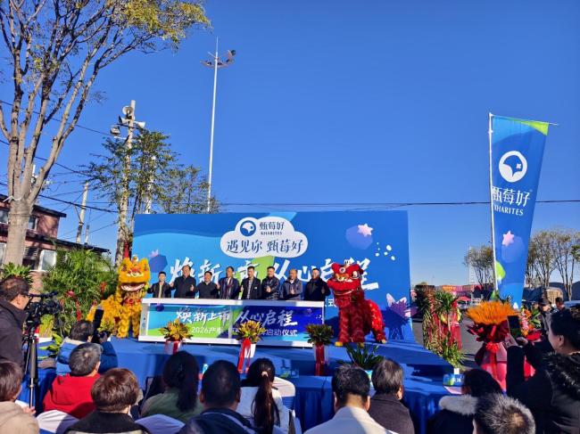 云南今年首批国产蓝莓进京上市 开启冬季蓝莓热销序幕