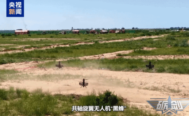 全域感知、精准狙杀 “智能蜂群”出击!