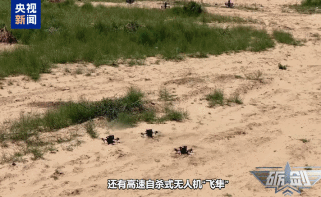 全域感知、精準狙殺 “智能蜂群”出擊！