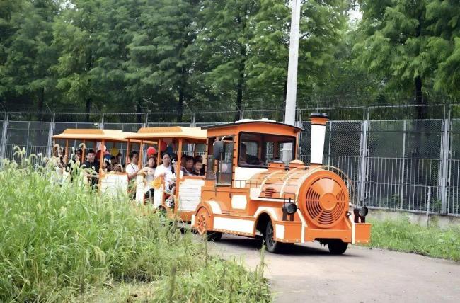 “苏超”夺冠后,泰州市官宣→