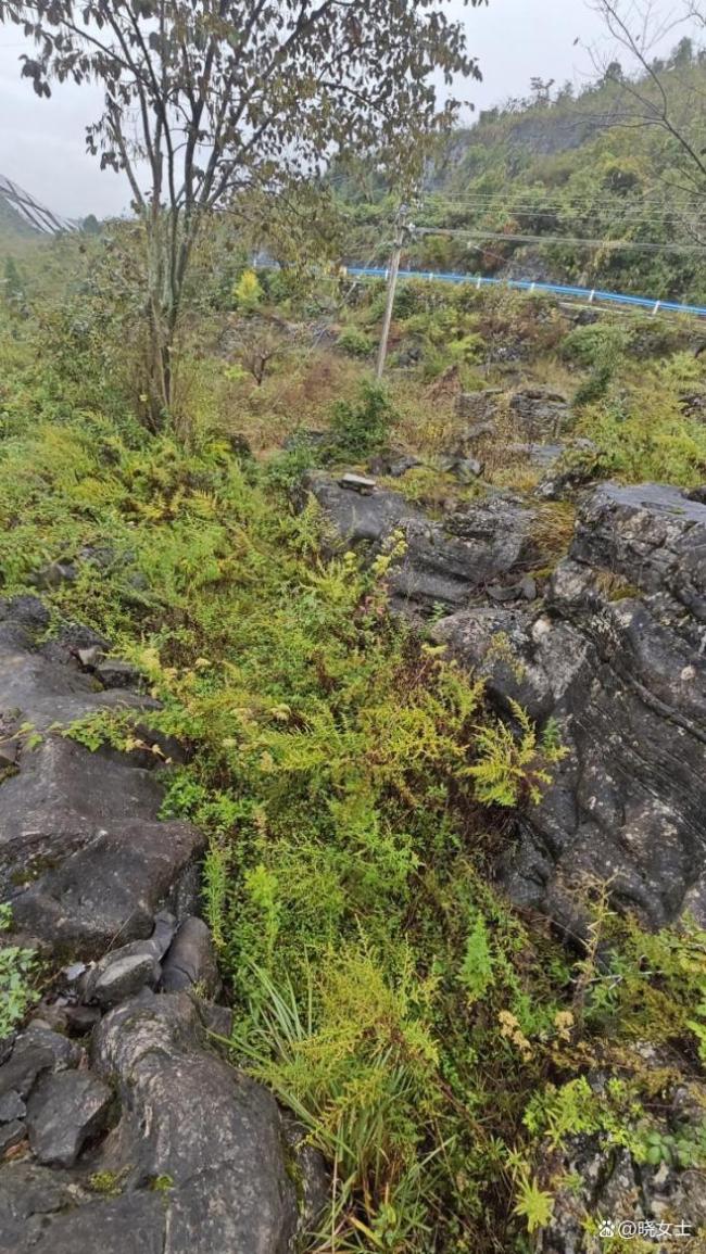 贵州石缝抛尸案 凶手竟是“半个亲戚”