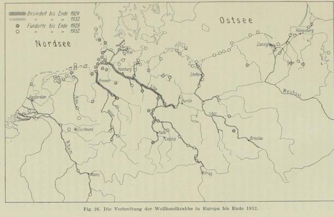 媒体称大闸蟹肥度已达最佳，如此珍馐为何在欧洲泛滥？能否靠吃解决问题 污染与寄生虫成难题