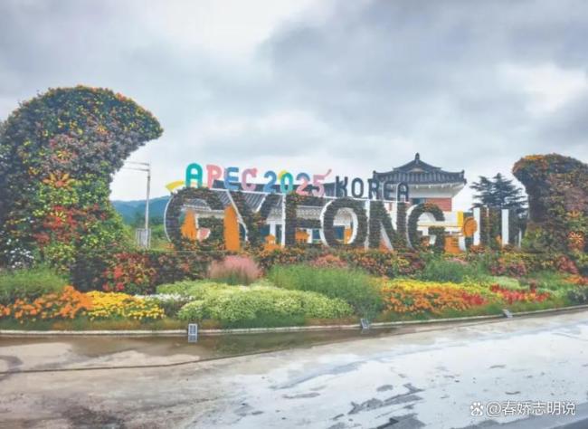 中方一句“好吃”让韩国点心店爆火