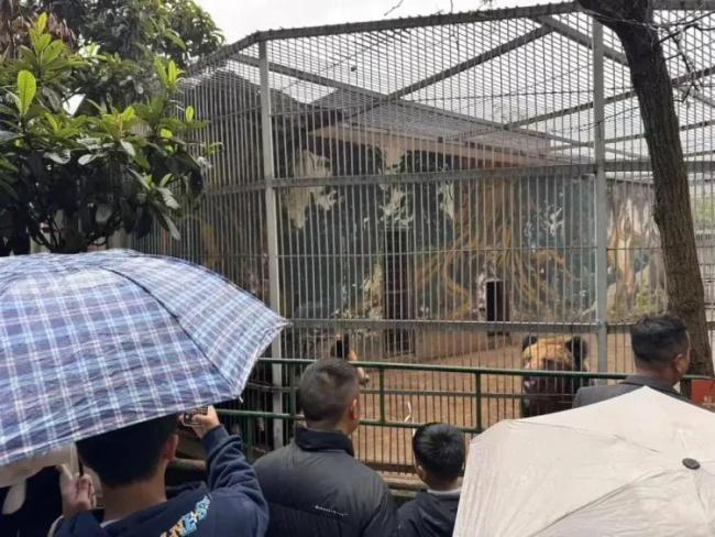 “史上最寒酸”动物园呼吁别转账 爱心捐款已足够