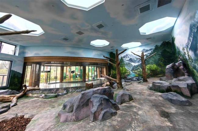 13只大熊猫入住绵阳基地 新家园迎新居民