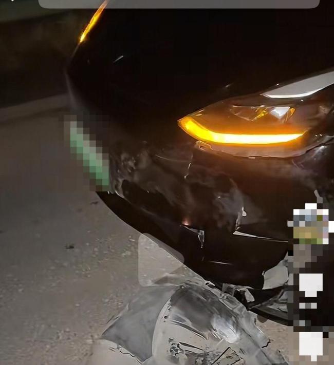 特斯拉撞死闯国道野猪 车主被判全责 操作不当引发争议