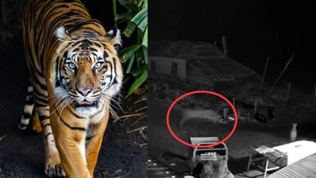 为何说俄军战略优势正路不是核武 谨慎与负责任的选择