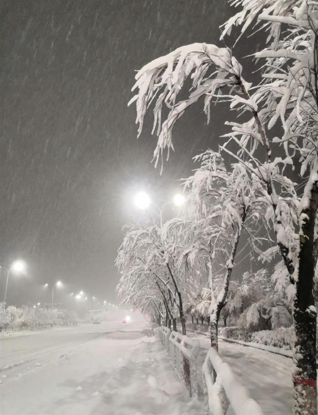 乌鲁木齐特大暴雪破纪录 城市银装素裹引发关注