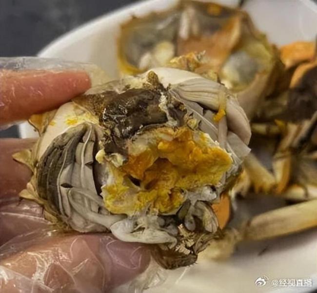 浙大食堂8.8元一只螃蟹馋哭网友 高校食堂福利揭秘