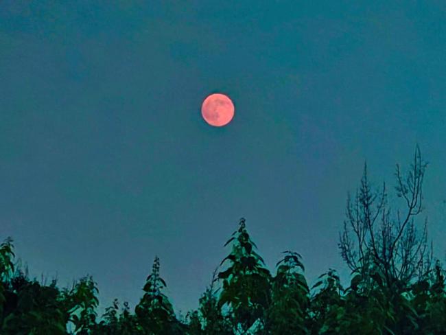 超级月亮爬上来 京城夜空现奇观