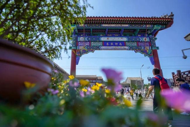 給年輕人走進胡同找個理由