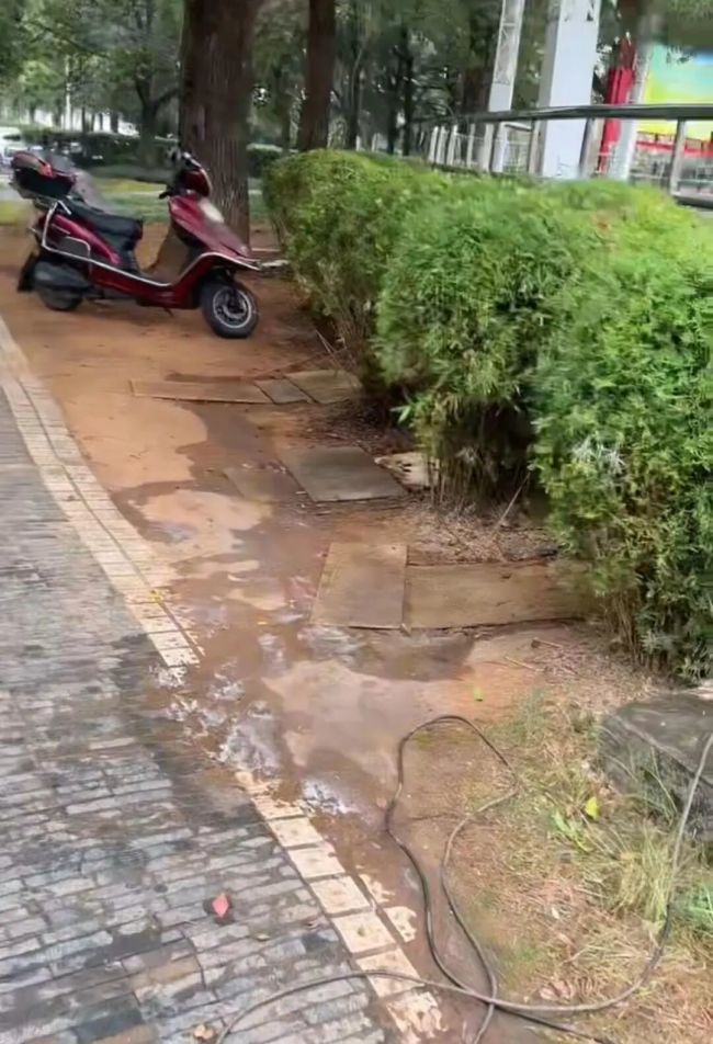 公园摆3个尿桶供东谈主露天小便 市民动怒尿骚味扰民