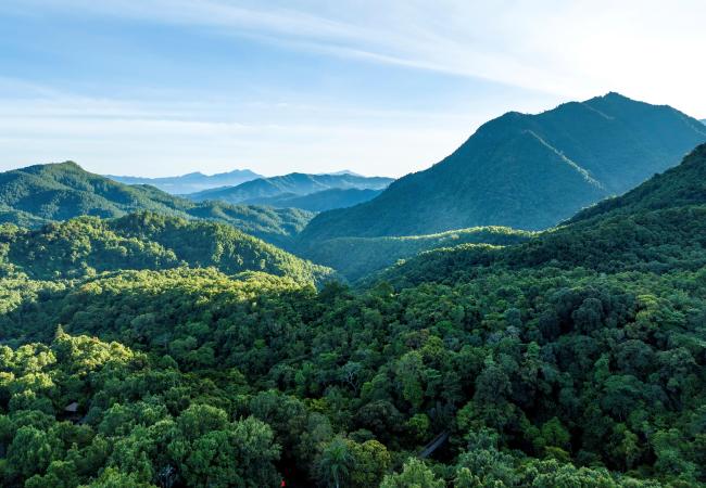 时政微观察丨建设海南自由贸易港，总书记把脉定向