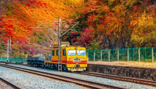 當列車遇上深秋,畫麵絕美!