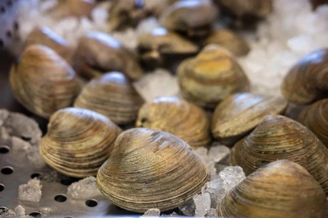 今日立冬!做好这几件事很重要 迎接冬天的仪式感