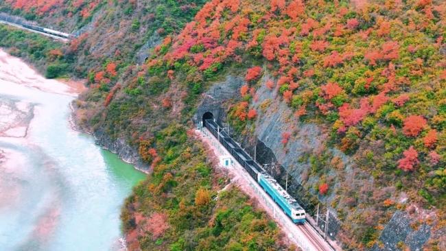 当列车遇上深秋,画面绝美!