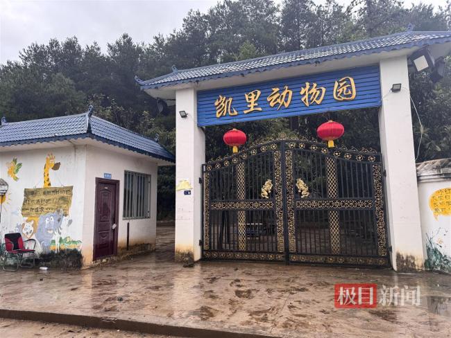 史上最寒酸动物园土路正硬化铺砖 质朴坚守感动人心