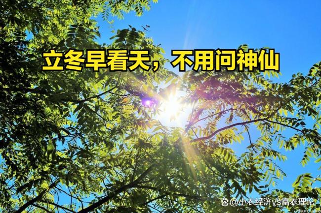 今日立冬：“立冬早看天，不用问神仙” 观察天气预知冬季趋势