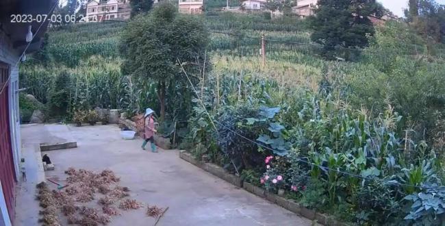 农妇反抗猥亵被杀害抛尸用巨石压住