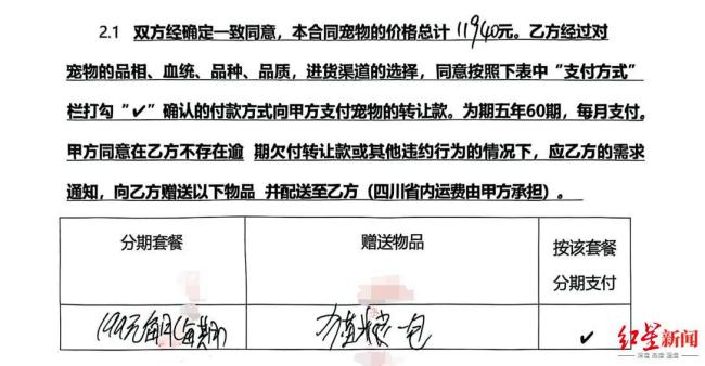 女子为市价数百元宠物猫背上万元账单 免费领养陷阱再现