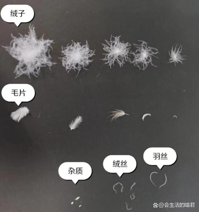 原来羽绒服不是越厚越保暖 警惕这三个选购误区