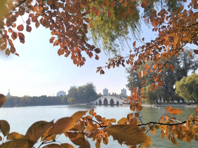 玉渊潭公园推四大打卡点 秋色斑斓画卷