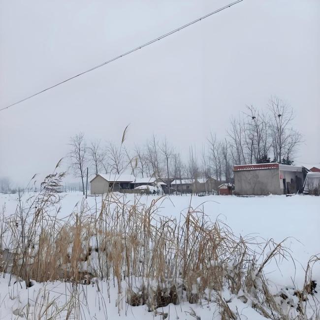 “大雪来不来,就看九月二十”有道理吗? 农谚里的冬季预测