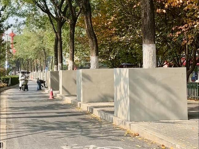 西安路边水泥树池已完工