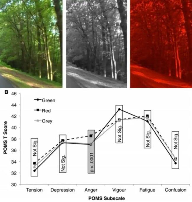 年代剧的墙为什么都是上白下绿 卫生与时代的印记