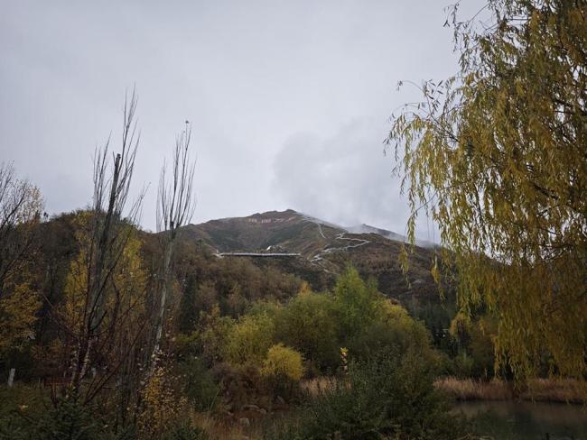 在生态脆弱的高原栽植苗木1.2亿株，西藏做对了什么? 绿化奇迹背后的秘密