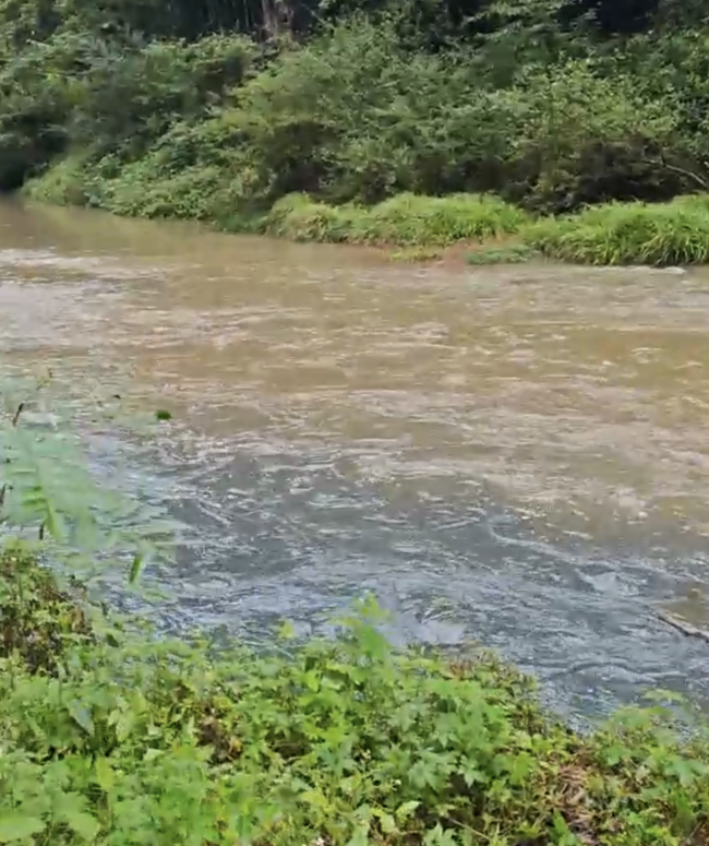 实探污染严重的长江支流孝子河 水体变色臭味浓烈