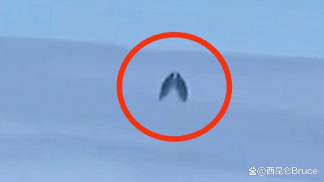 包头禁飞区惊现蝴蝶状飞行物 引发网络热议