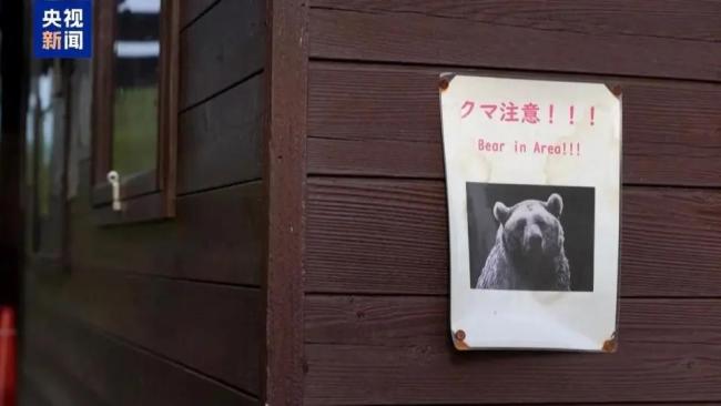 日本发熊难财？猎熊旅游狂捞金