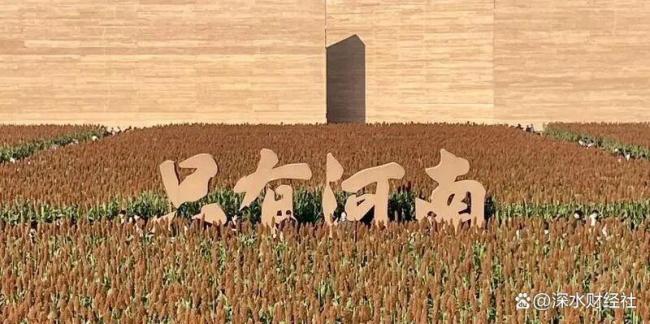 河南为什么出营销奇才 中原零售天团的崛起