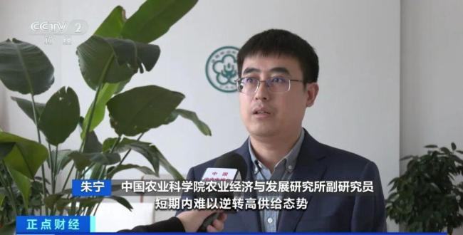 鸡蛋价格跳水 降至近几年最低 供应过剩导致