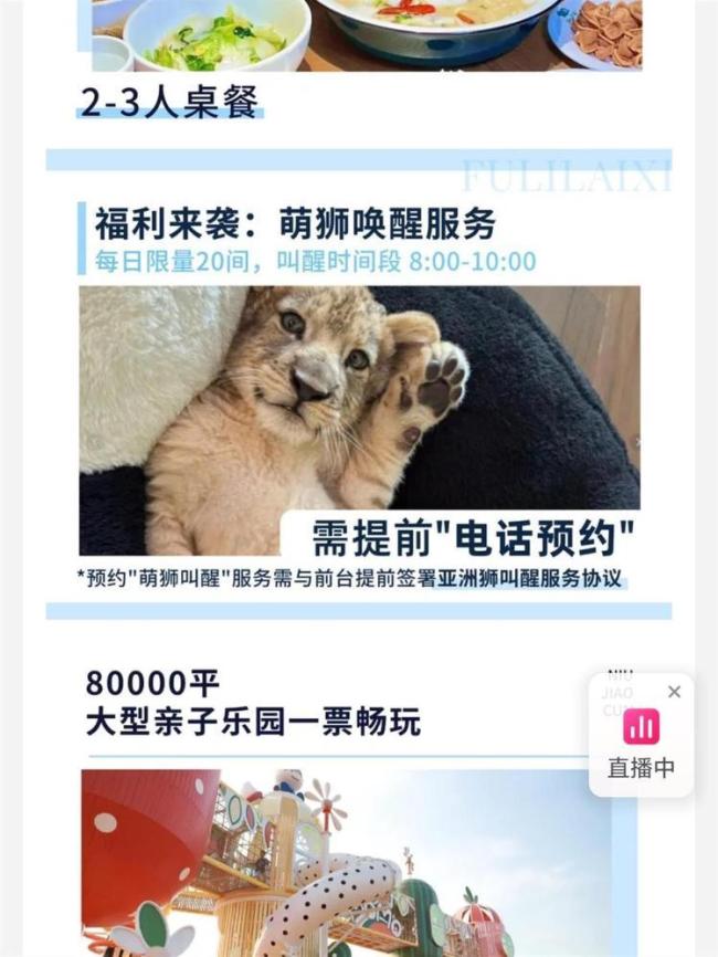 酒店提供小狮子叫醒服务 628元一晚