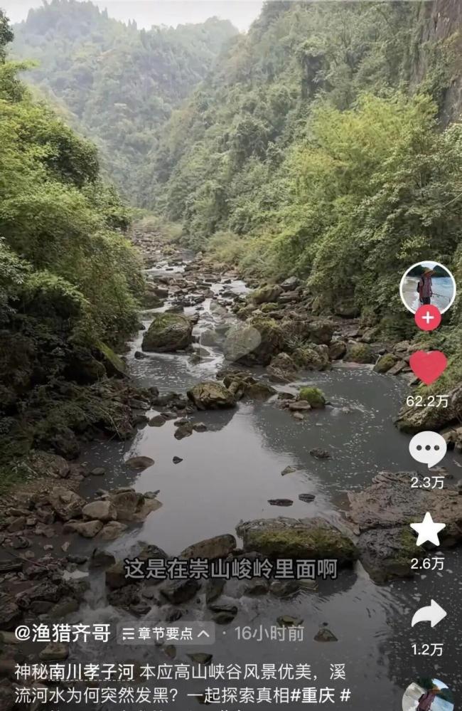 重庆南川通报长江支流小子河污染，正在开展调