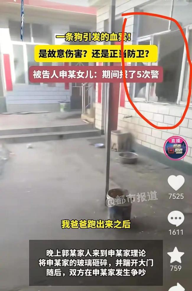 狗咬人引发命案的悲剧责任在谁 邻里纠纷酿成惨剧